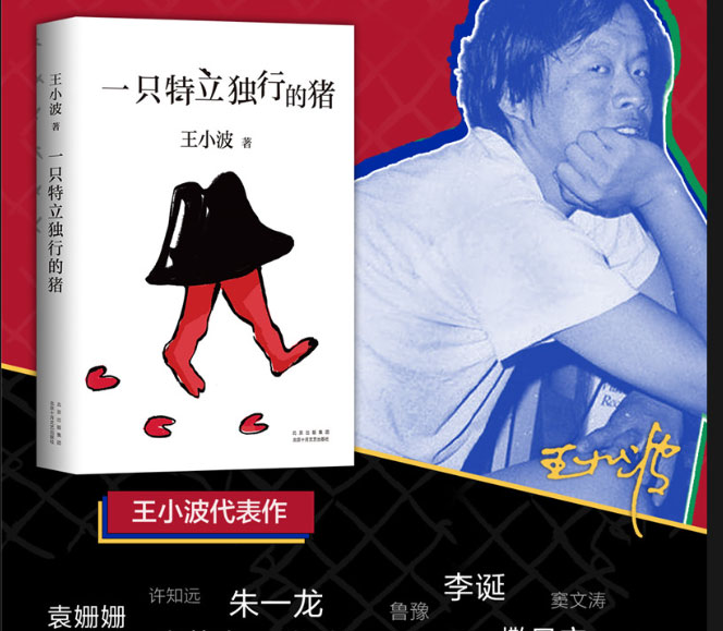 一只特立獨(dú)行的豬 有趣 獨(dú)立 反對(duì)假正經(jīng) 讀王小波的“入坑之選”